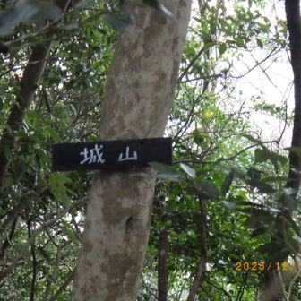 地味な山頂プレート