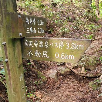 ☝大山へここから登るのは
かなりのしんどさ💦
でも実際いるんだろうな

テン場だったとしたら、ここは
ちょうどテント張るのにいい場所

物見峠と三峰山も
丹沢山塊の山ですね😊