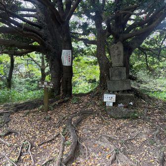 ここまでは全然快調、ちょっと時間はかかってるかな😅。しかしこの後の百間石垣で地獄をみる😫。