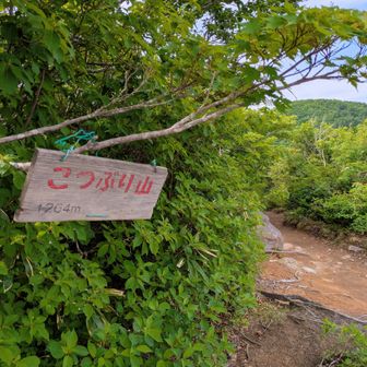 ✌️山頂！　山名がカワイイです😊