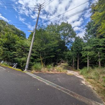 貝月への林道に出ました、、。これから長者の里経由で駐車場(6.2kmのクーリングオフタイム)に向かいます。
