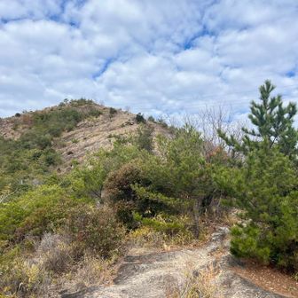 あ、あれか！
いきなりの急登でしんどいのはここだけ
いや、ただただペース早すぎただけかもしれん🤣