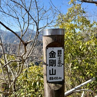 向こうは大室山