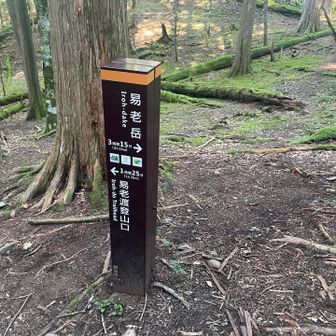 やっとこさ2/3