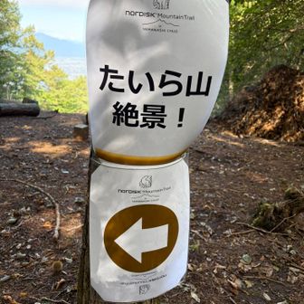 トレラン大会あった模様