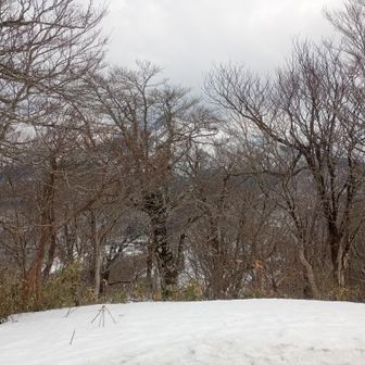 カラスもだいぶ剥げた