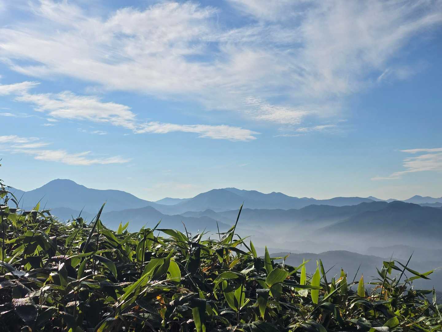 トムラウシ短縮コース登山口-前トム平-トムラウシ山 往復コースの写真