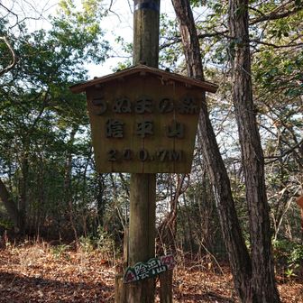 陰平山頂上に到着