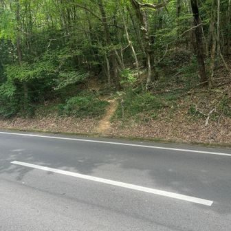 登山口
YAMAPなどの地図アプリ使ってないと見つけるにも一苦労