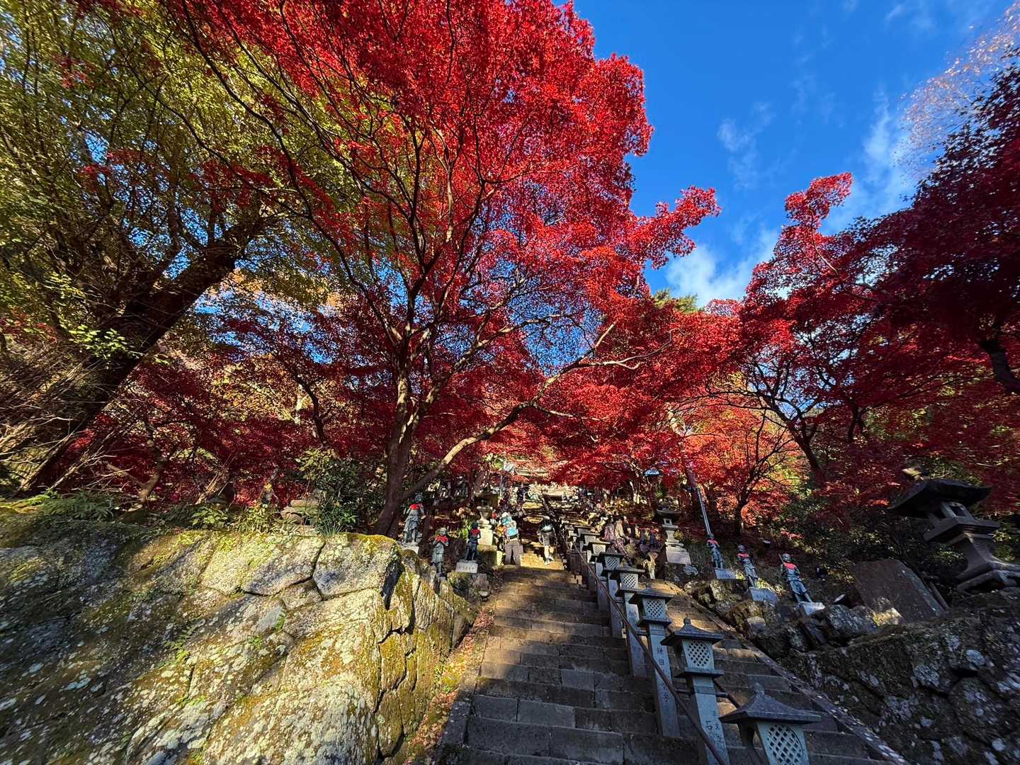 大山寺へ登る階段 スゴイとしか言えない