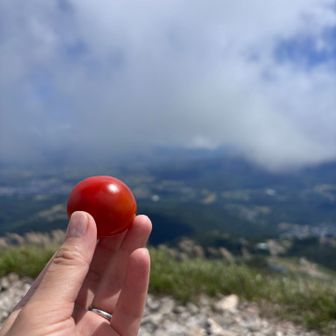 トマト🍅大好きなのだ
