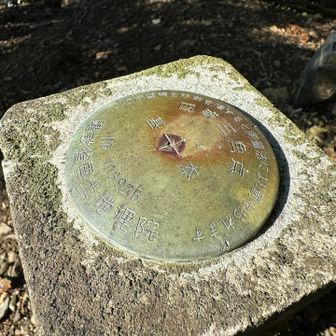 ここにも三角点が