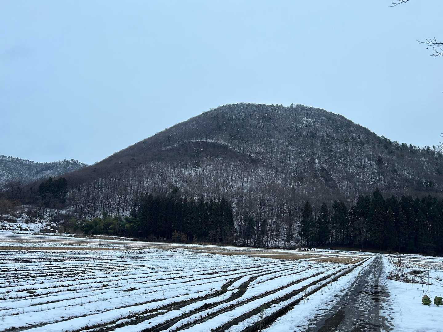 下山時は足元シャリシャリ音がしました
きっと冷えてきてたのですね❄️