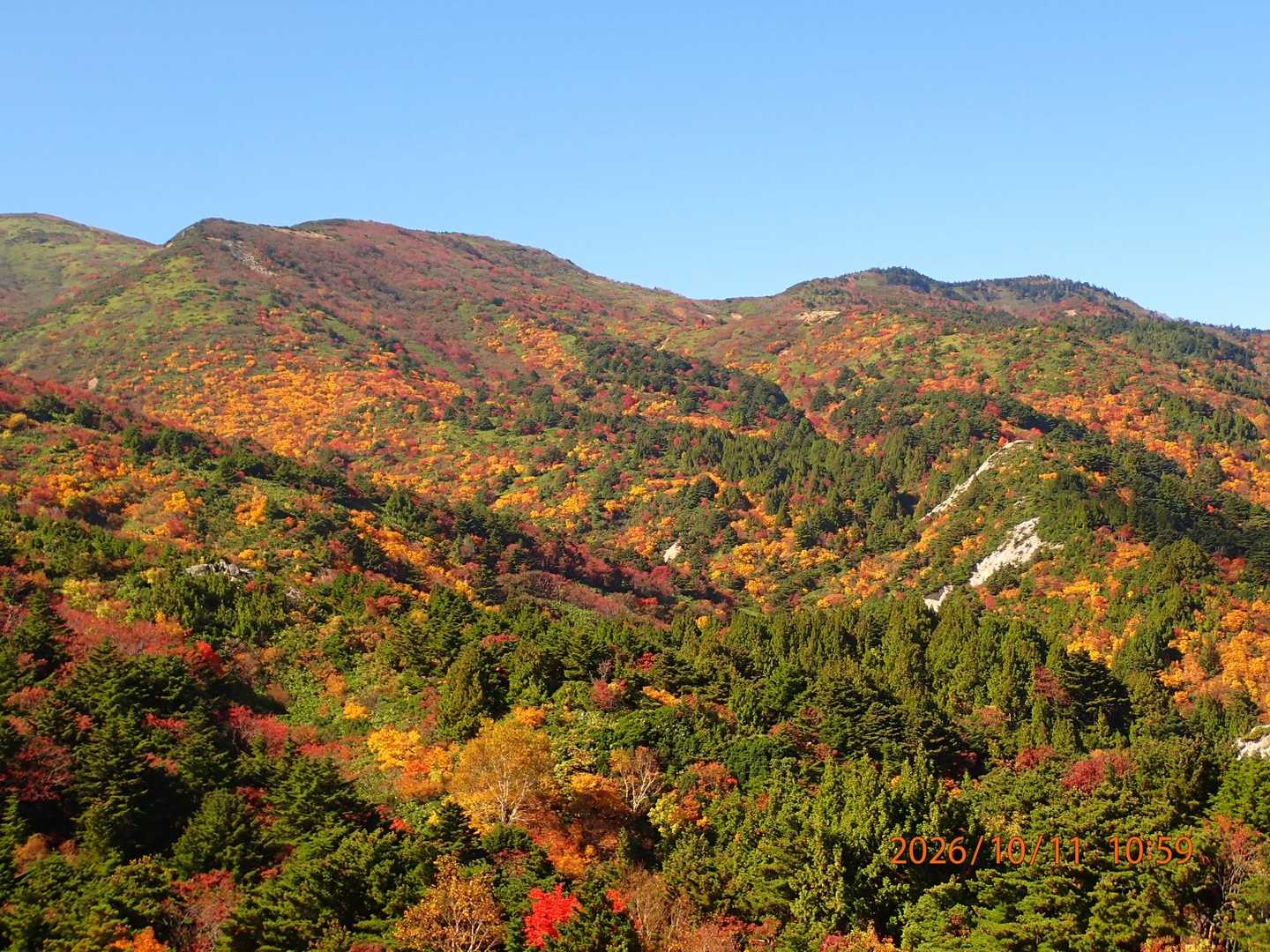 003_賽河原-駱駝山 往復コースの写真