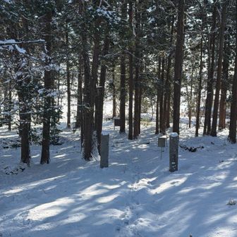 下山して来ました🚶‍♂️