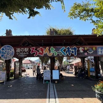 戻って来ました♪