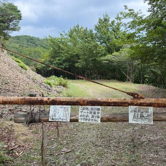 どんどん下って行くこっちの道は間違いでした