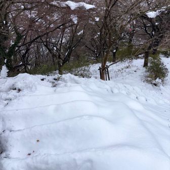 そして動物園へ向かう階段へ