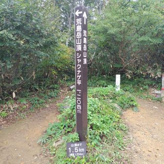 シャクナゲ平看板（1,204m）