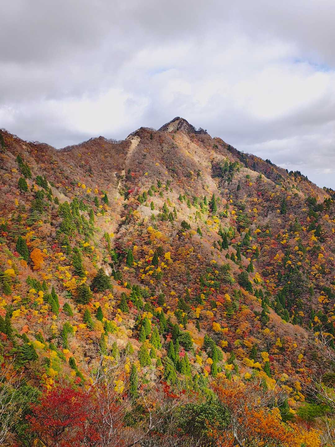 鎌ヶ岳と山面の紅葉