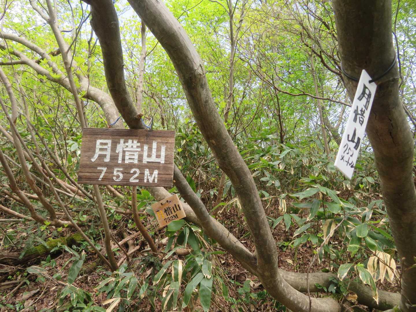 登りでは気づかなかった😅