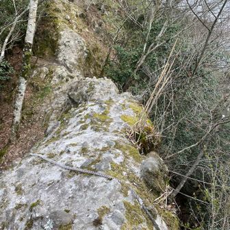 ビビったが、歩いて行けた