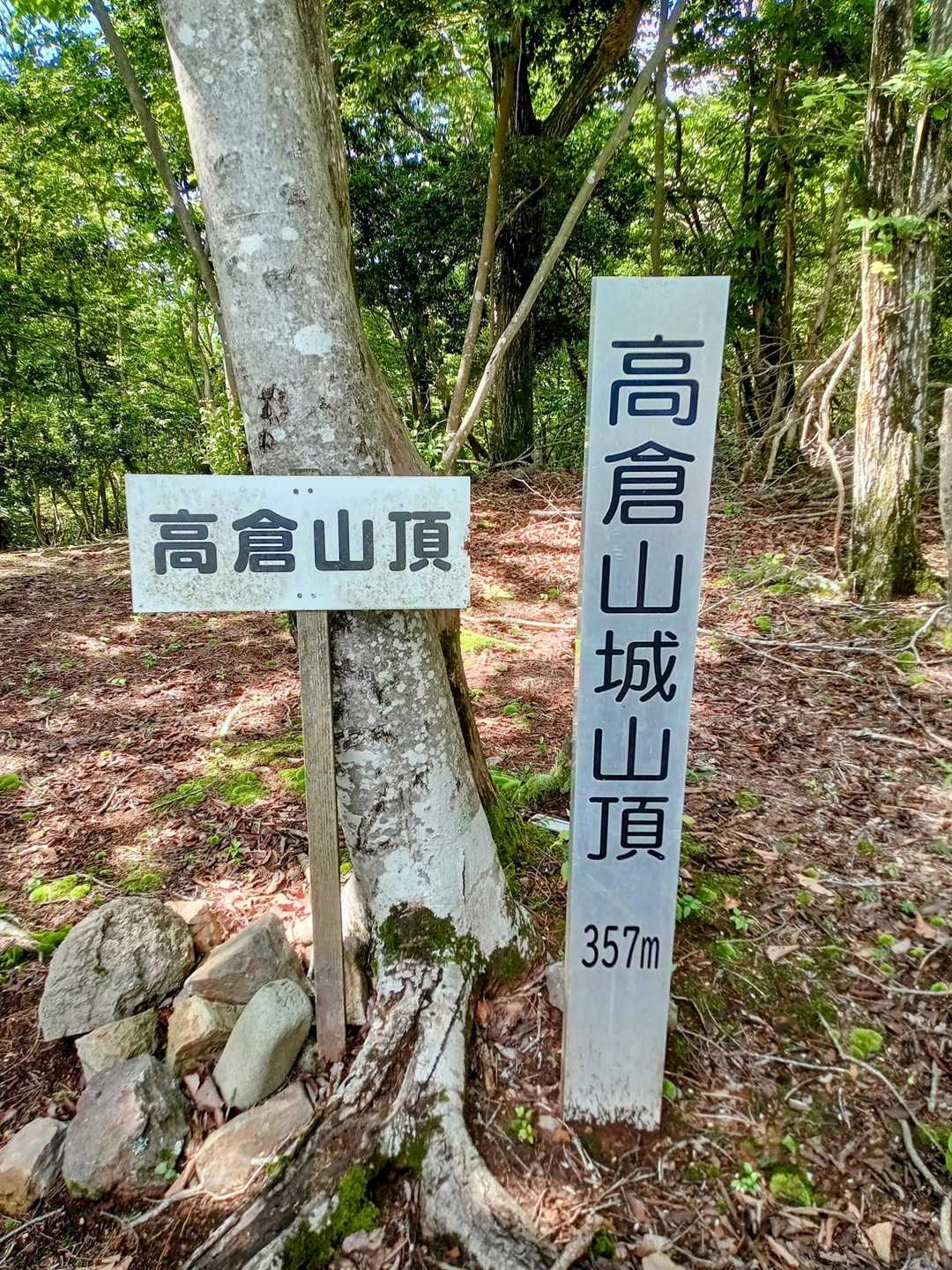 山頂🙌
眺望無しで虫多し😓