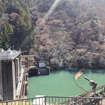 白丸ダムから渡れると工事現場の人から教えてもらって来ました👯