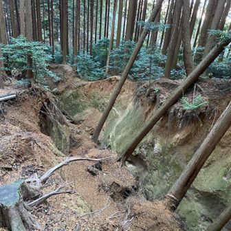 何年ぶりかの櫛羅コース
すごい整備が行き届いた登山道
谷がえぐられてるとこは通行止出来ないようになってる
