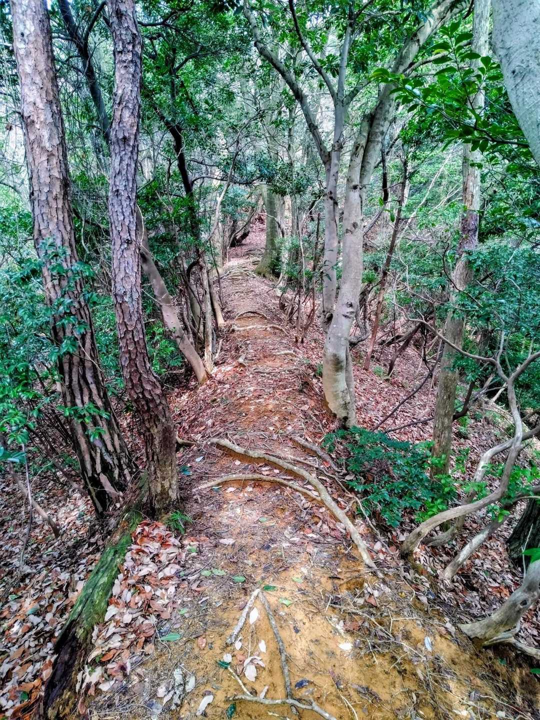 土橋に成って居る所もある🚶😄