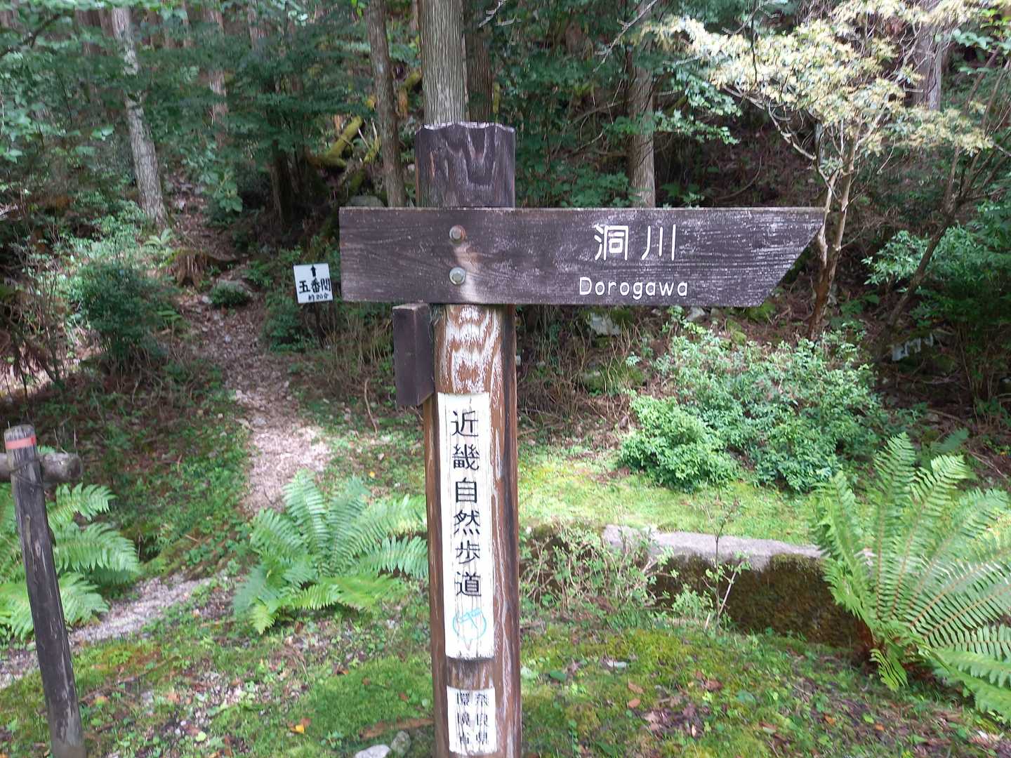 ここが登山口