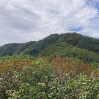 もうすぐ山頂