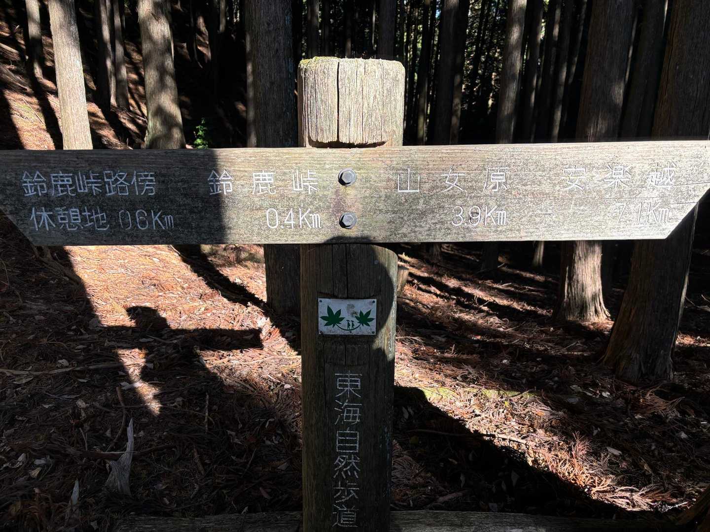 鈴鹿峠-三子山 往復コースの写真