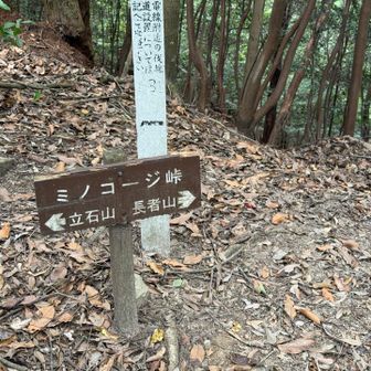 人名なんかね🤔❓