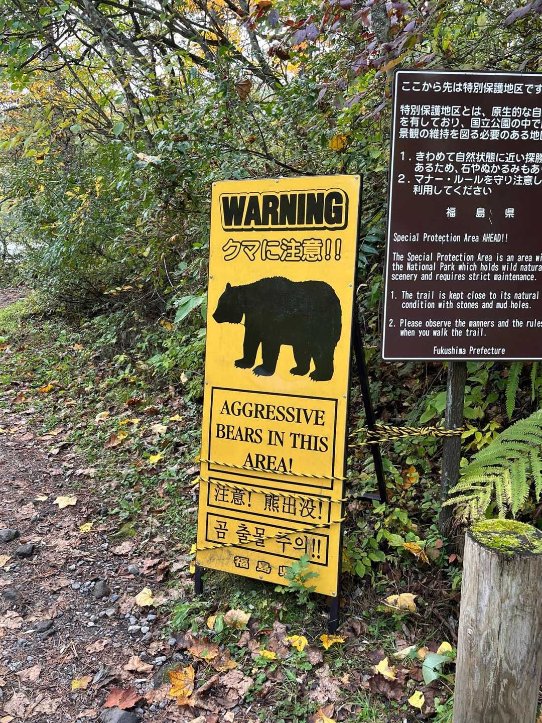 熊注意⚠️今年は心配😟