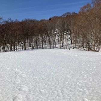 ブルー💙茶色🤎ホワイト🤍