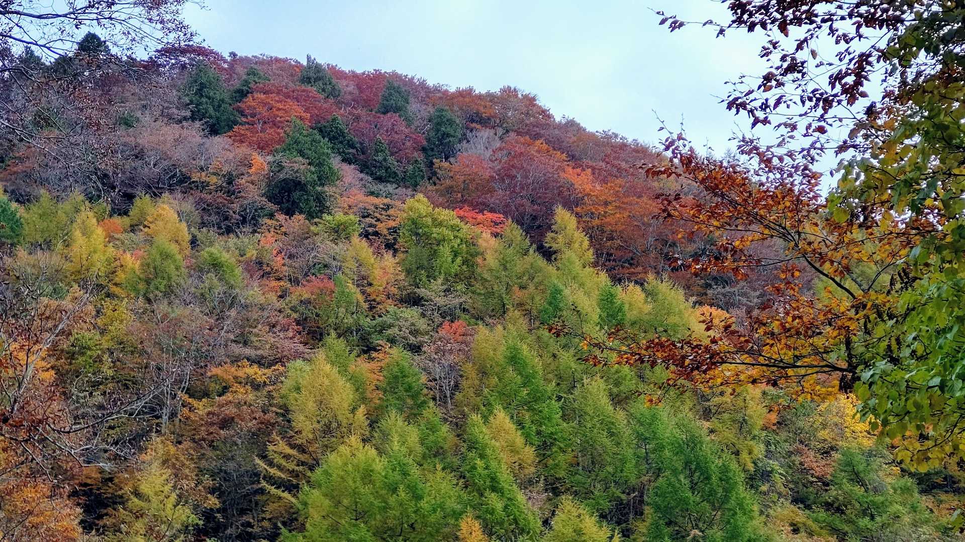 名の知らない🏔🤳