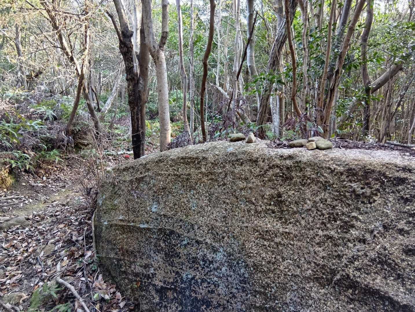 佐野山-楞厳寺山 往復コースの写真