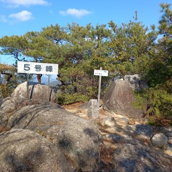 何個か峰を越えてきてここが山頂