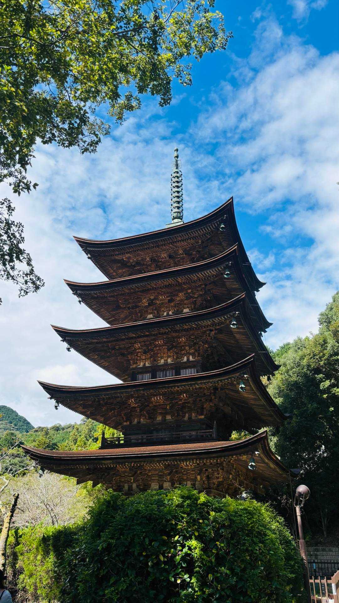 行ってきまーす