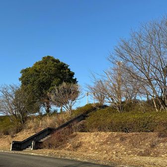天気はとてもよい