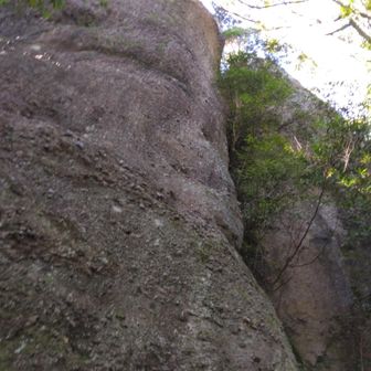 また巨大岩。なんか、この前からこの辺りの山に来ると、小石がゴロゴロ寄せ集まったみたいな巨岩がある様に感じてます。この左の岩の中ほどから下部分もそう。