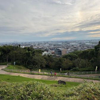 小牧山山頂 南側です。
名古屋駅周辺のビル群も