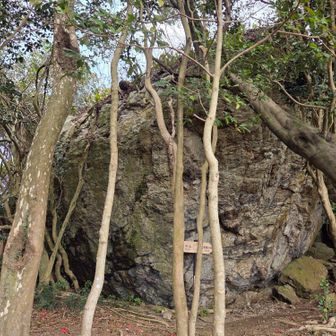 雨宿り岩、全部写らない、、