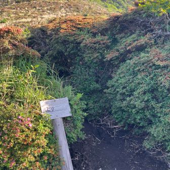 登り道