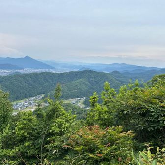 ホームの日野山クッキリ
