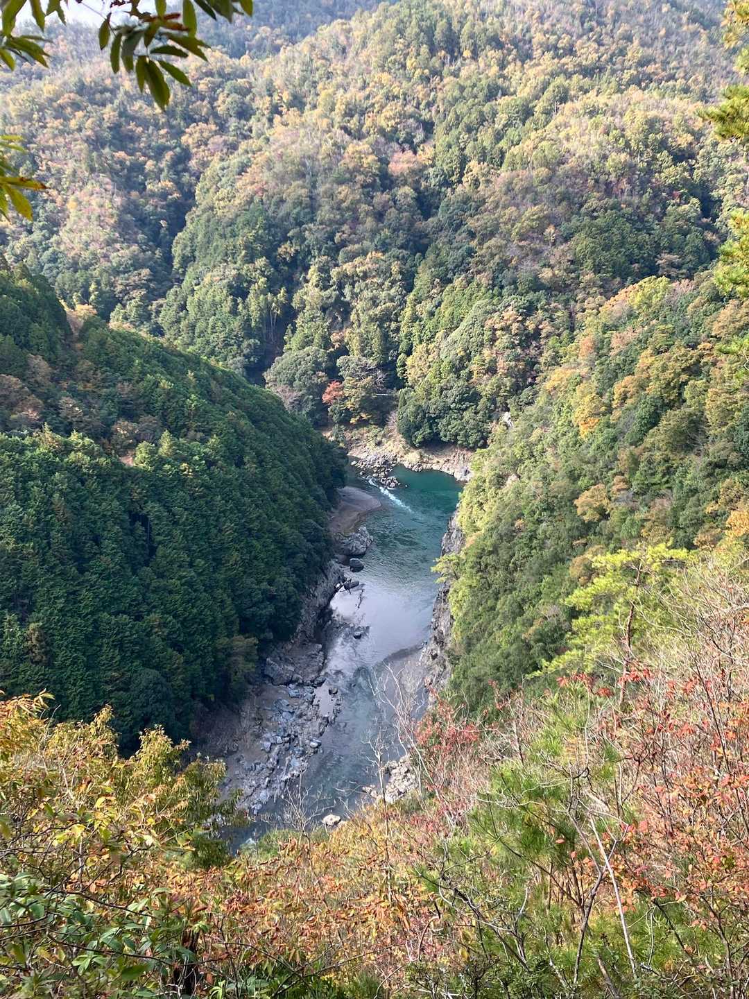 高度感あって怖いが絶景👍
🍁紅葉もまだまだ…これからだね。