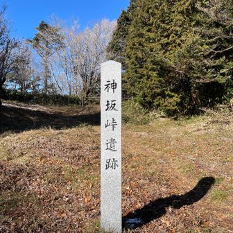 神坂峠にきました。遺跡があるのですね。古墳時代から奈良、平安、鎌倉、室町まで。峠の神様にお供えする場だったとか。