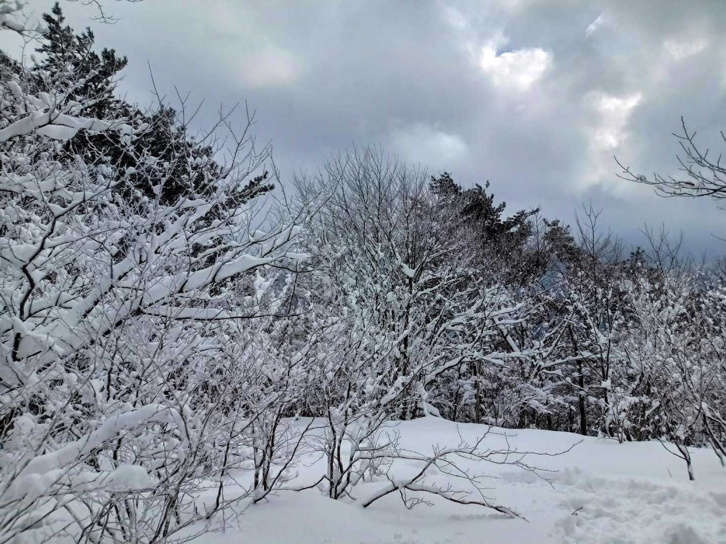 牧場へ足を伸ばす予定だったが、皆、充分満足満足で下山することに。