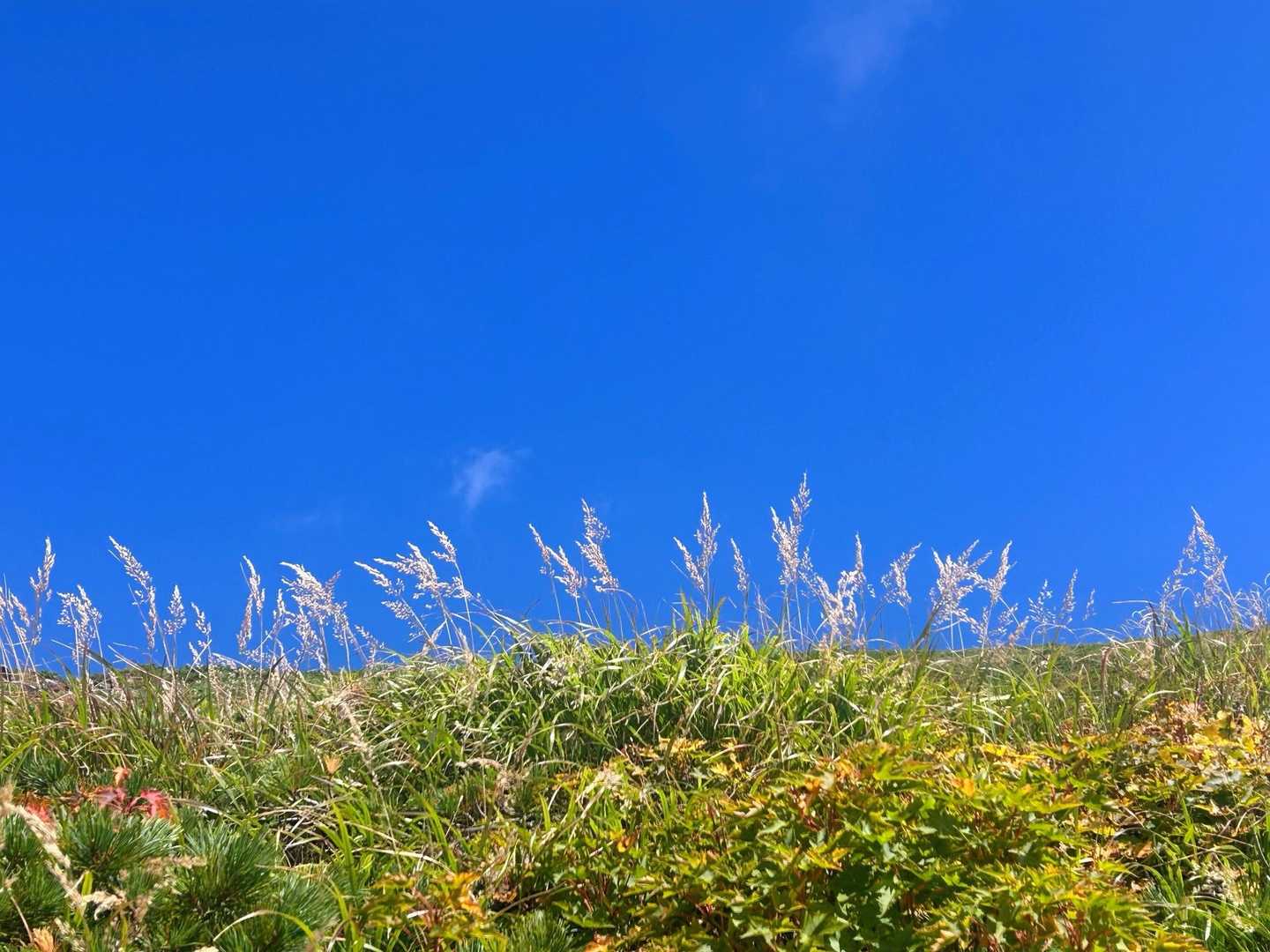 秋っぽい🍂